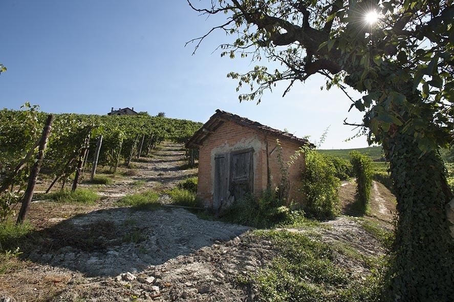 Cascina Ballarin Villa La Morra Exterior foto