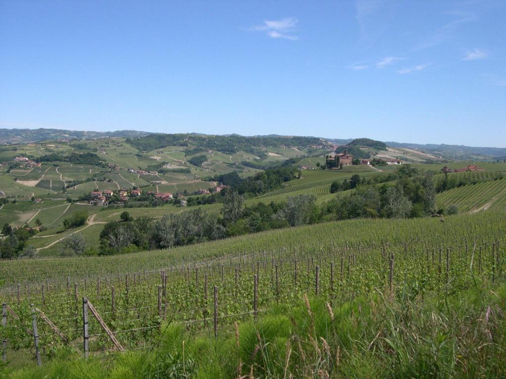 Cascina Ballarin Villa La Morra Exterior foto
