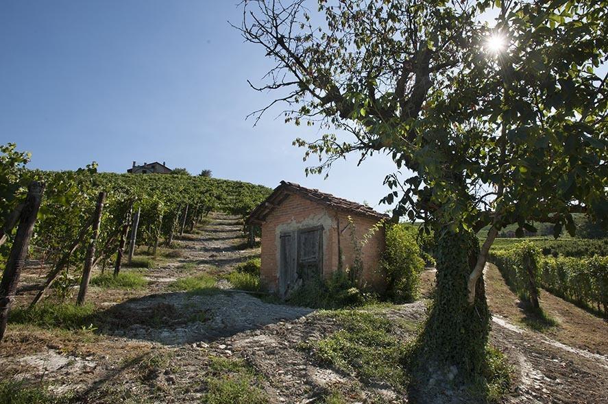 Cascina Ballarin Villa La Morra Exterior foto